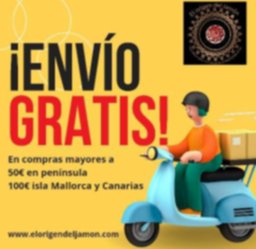 Envío gratis